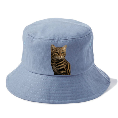 blackfooted-cat-elusive-hunter Hat