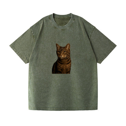 brown-tabby-cozy-charm Hat