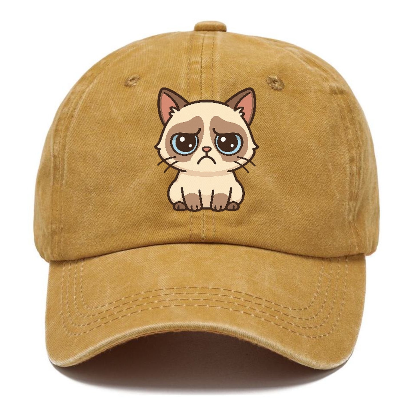 grumpy-cat-expression-mood Hat