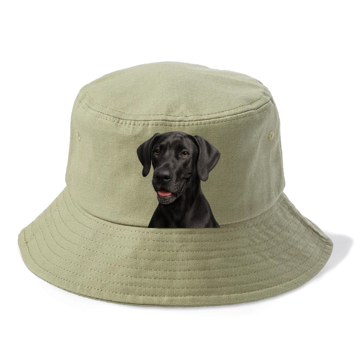 great dane portrait design Hat