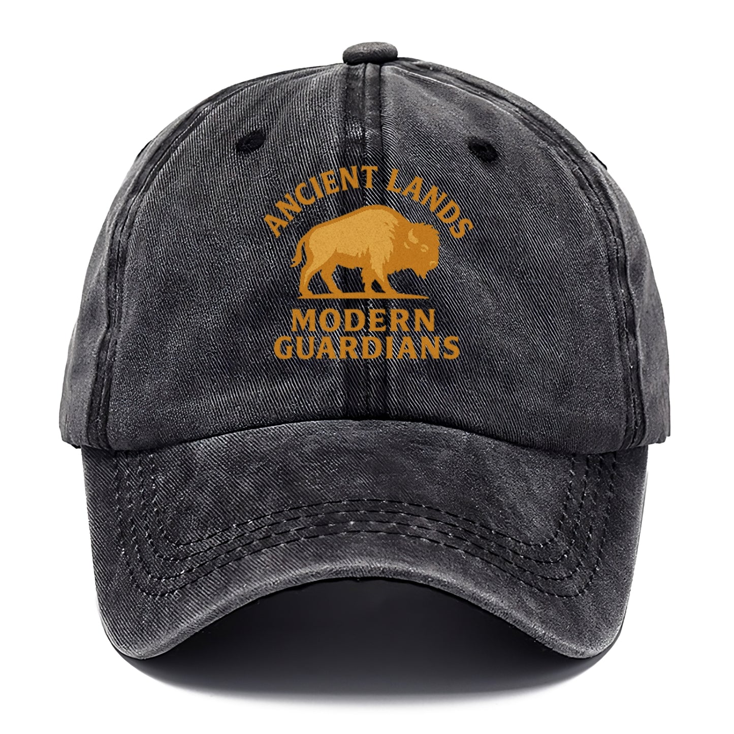 Ancient Lands, Modern Guardians Hat
