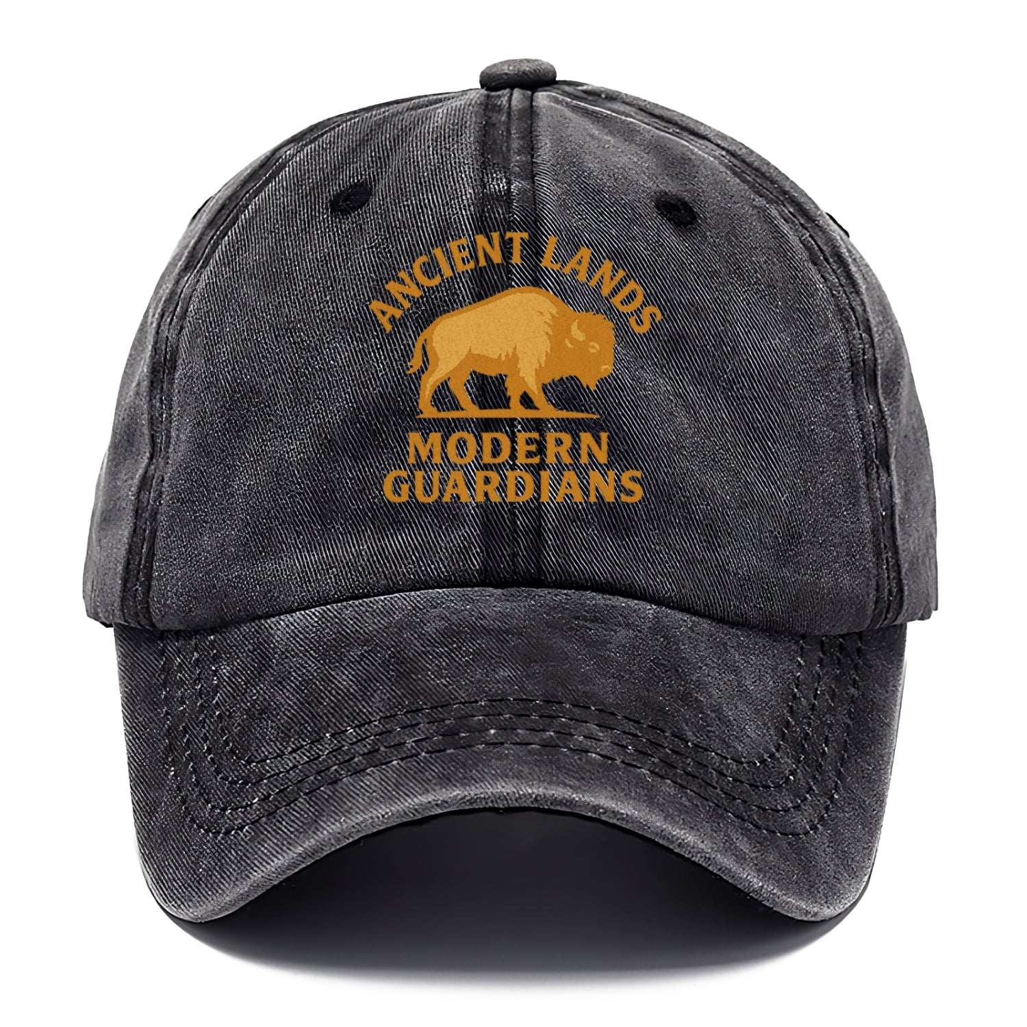 Ancient Lands, Modern Guardians Hat