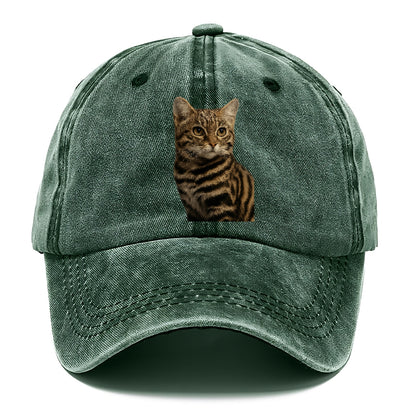 blackfooted-cat-elusive-hunter Hat