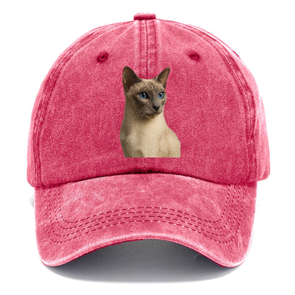 lilac-point-siamese-elegant-mystique Hat