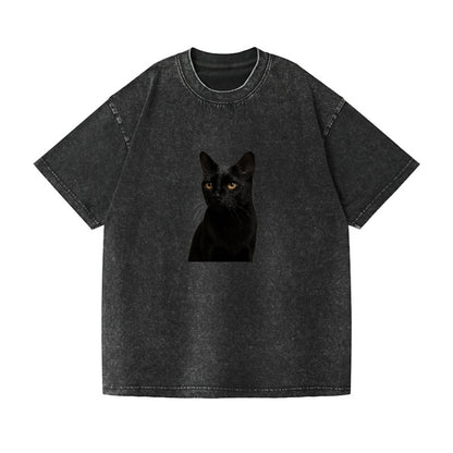 bombay-sleek-mystique Hat