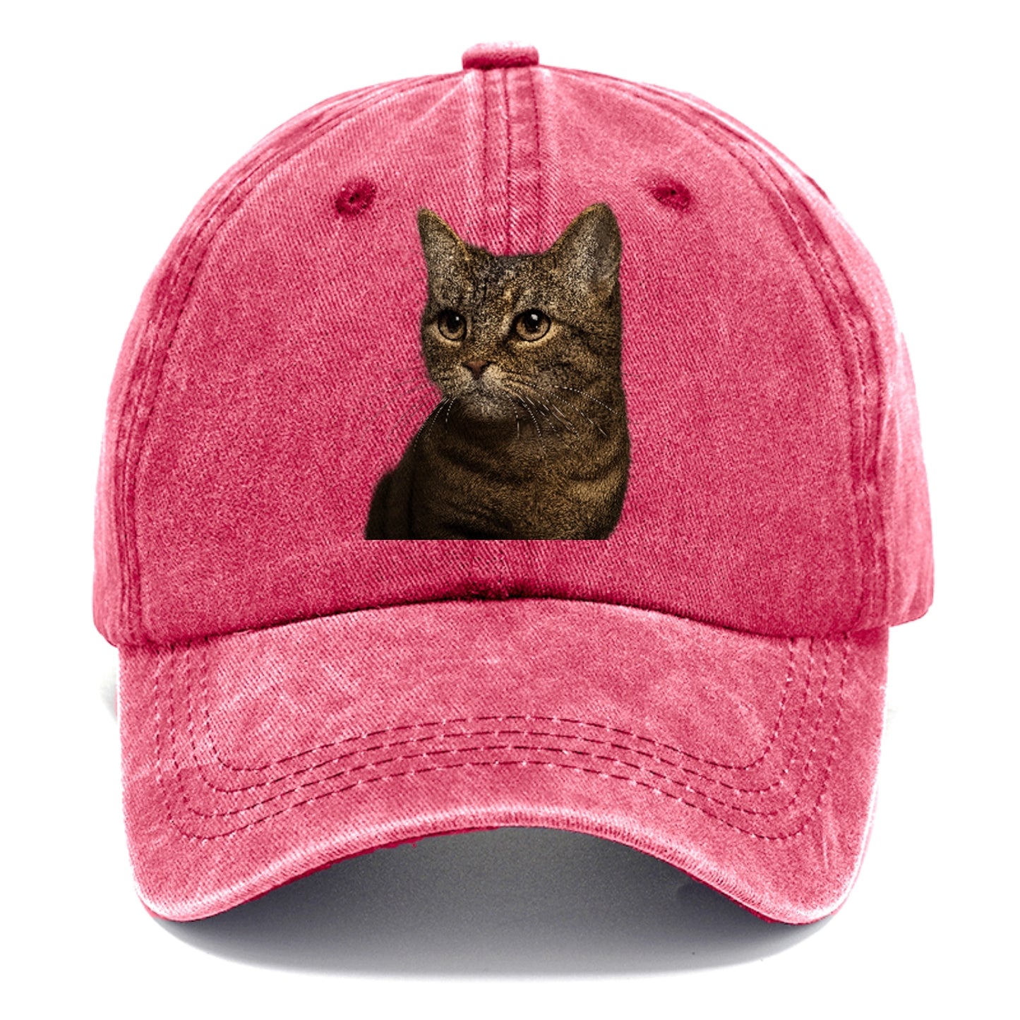 munchkin-cat-charming-spirit Hat