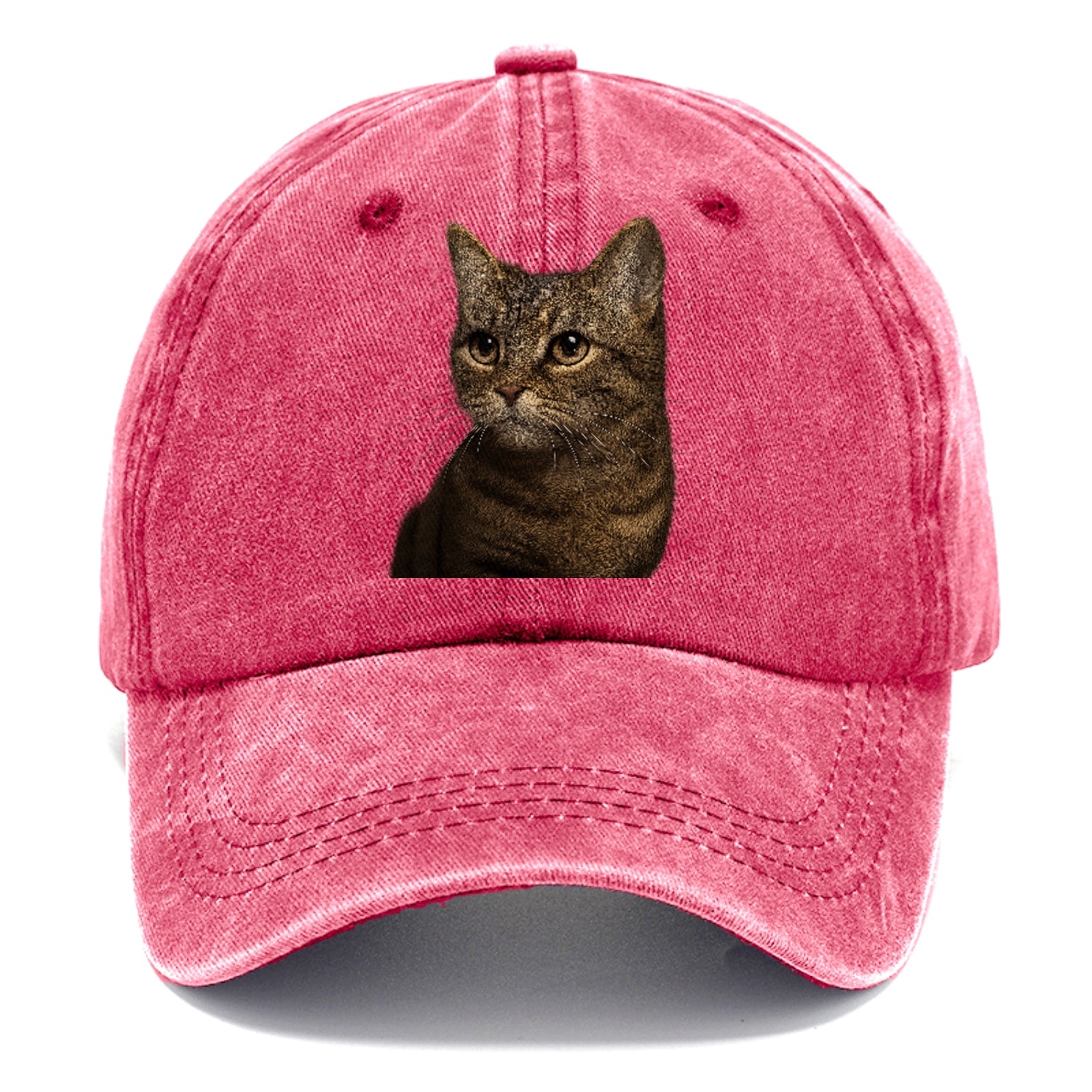 munchkin-cat-charming-spirit Hat