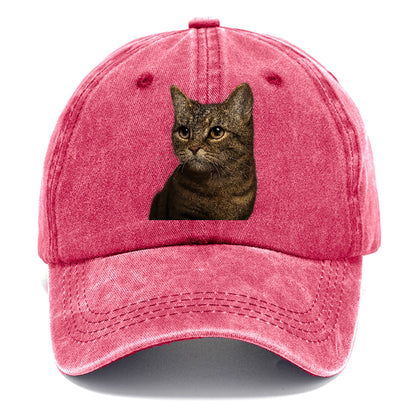 munchkin-cat-charming-spirit Hat