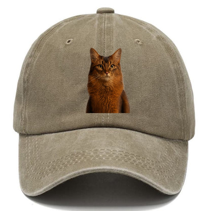 somali-cat-agile-grace Hat