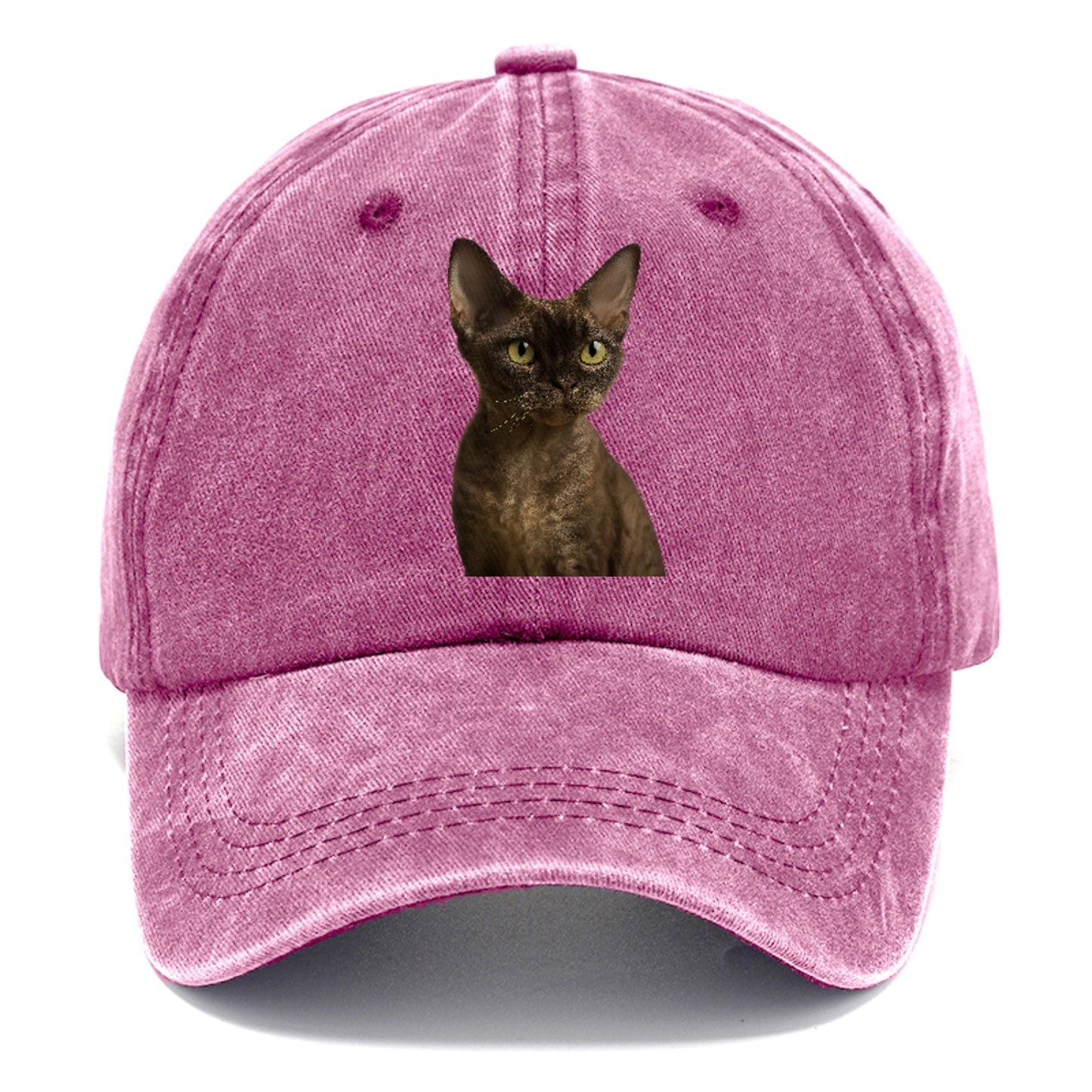 devon-rex-the-unique-charm Hat