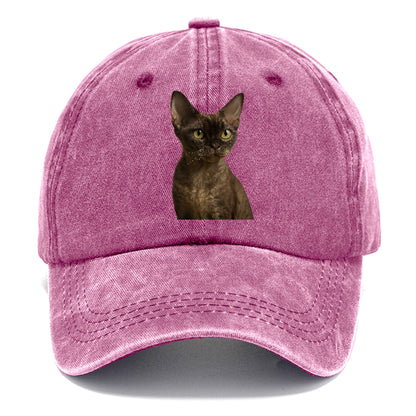 devon-rex-the-unique-charm Hat