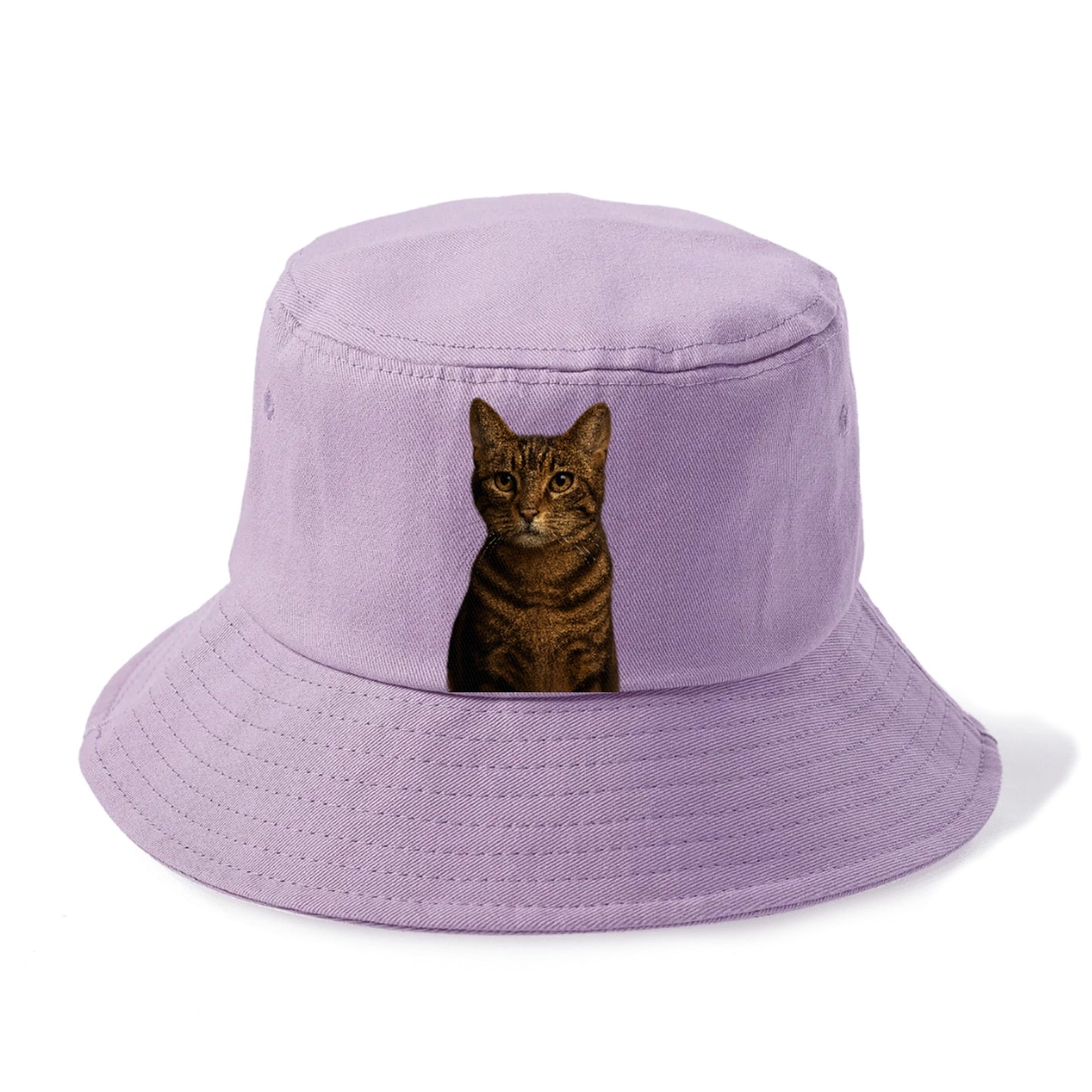 brown-tabby-playful-spirit Hat
