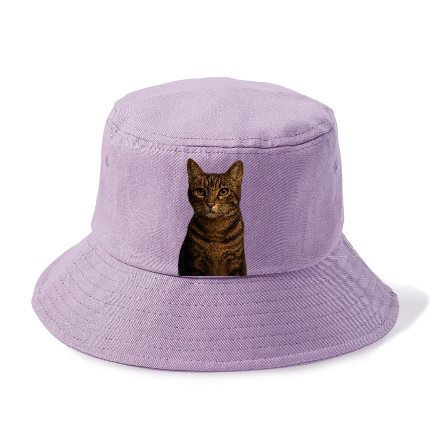 brown-tabby-playful-spirit Hat