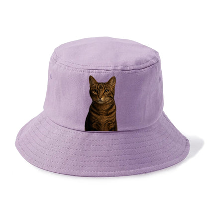 brown-tabby-playful-spirit Hat