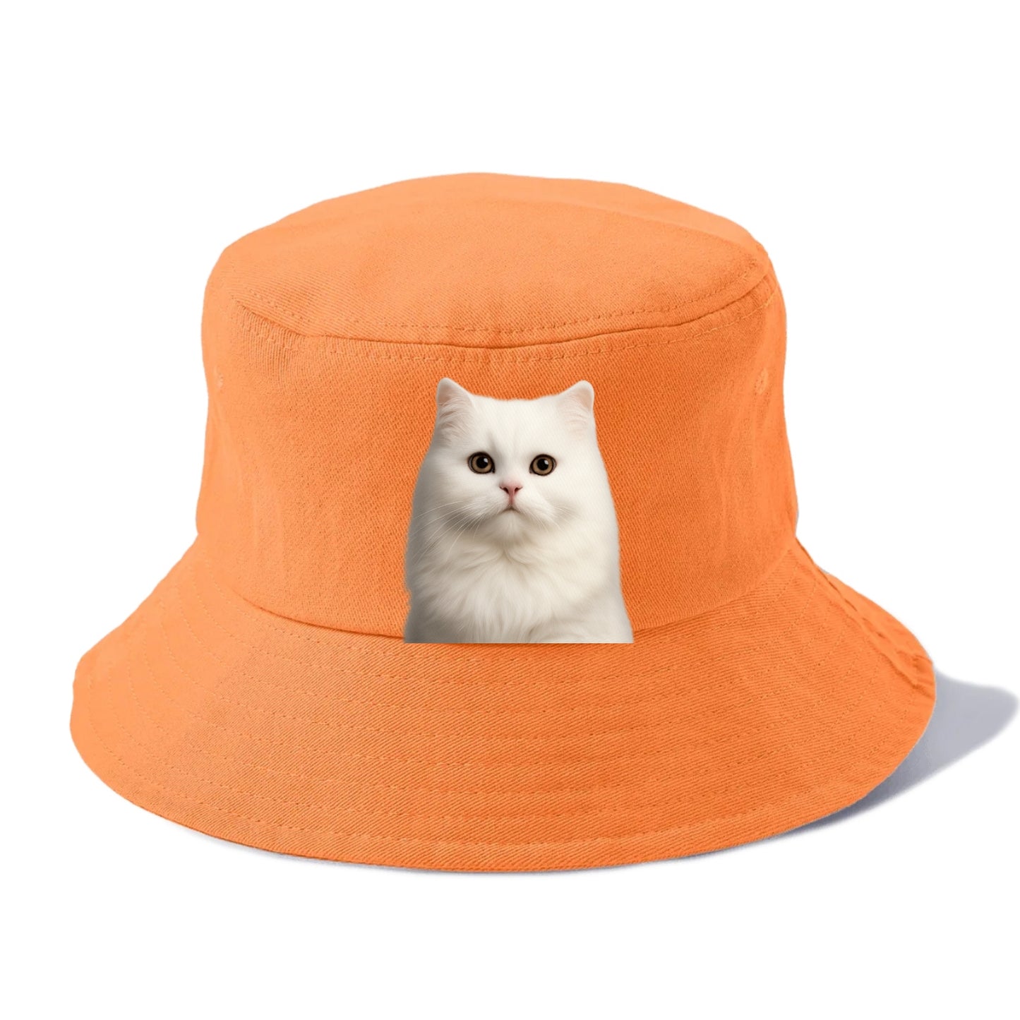 persian cat royal elegance Hat