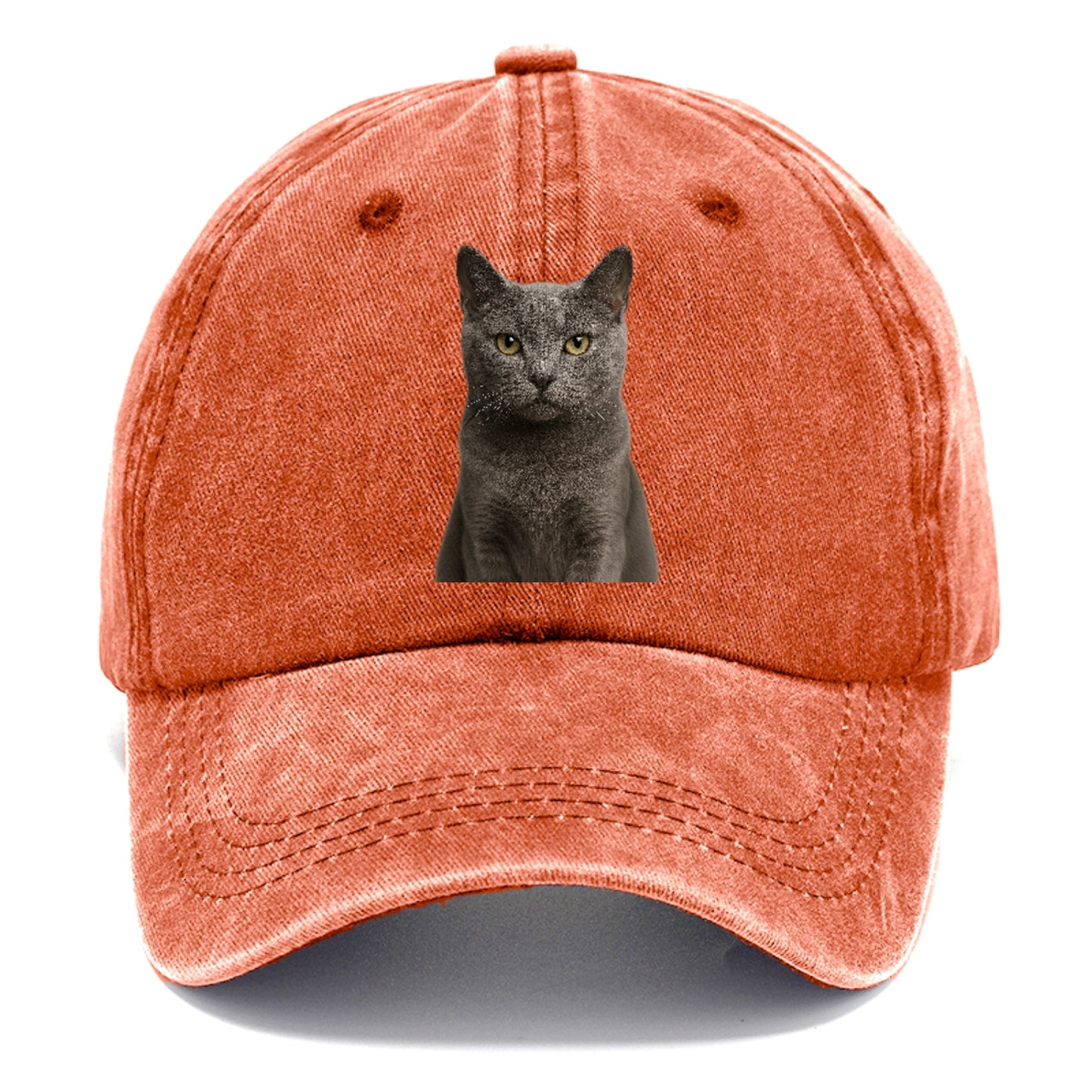 gray-cat-mysterious-charm Hat