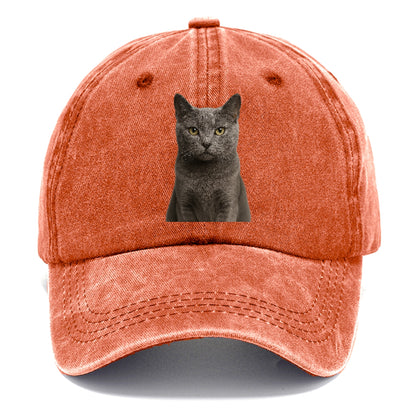 gray-cat-mysterious-charm Hat