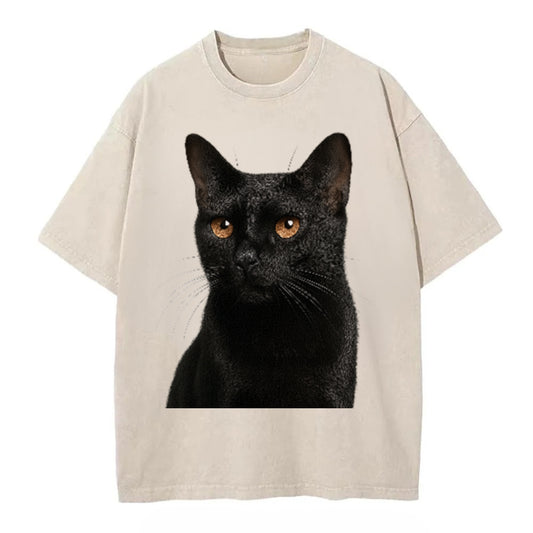 bombay-sleek-charm Hat