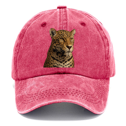 jaguar-stealthy-grace Hat
