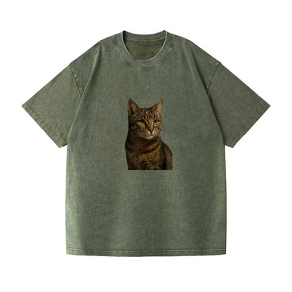 barn-cat-rustic-charm Hat