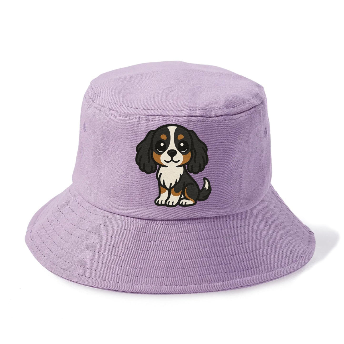 cavalier king charles spaniel tricolor sitting pose portrait design Hat