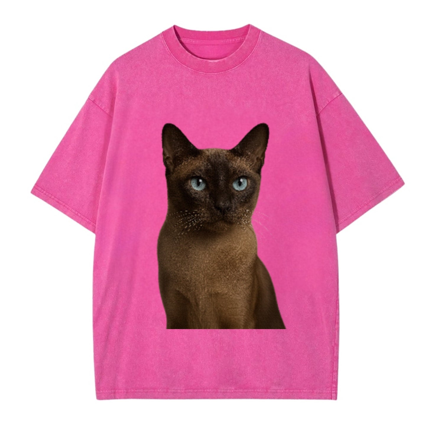 tonkinese-playful-spirit Hat