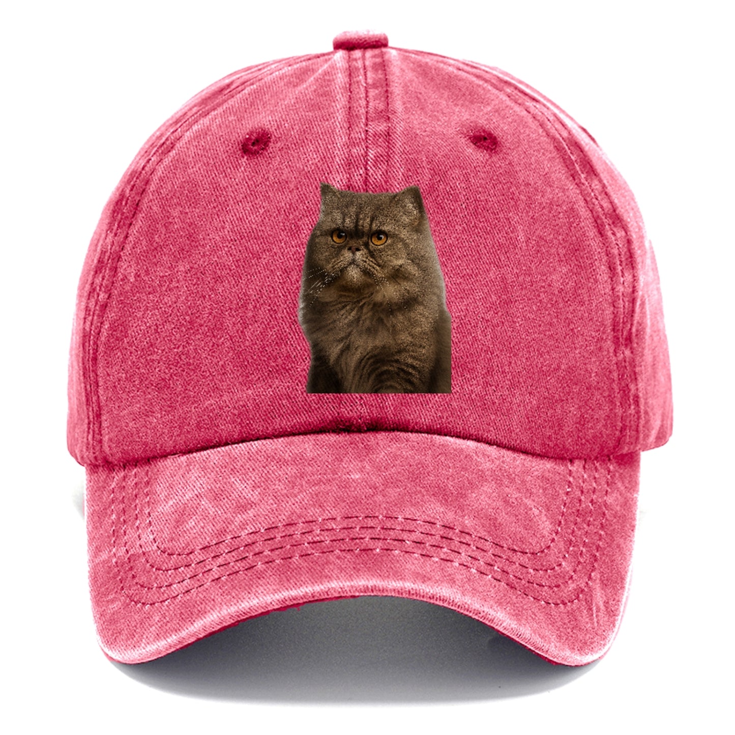 persian-cat-regal-elegance Hat