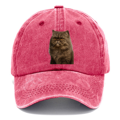 persian-cat-regal-elegance Hat