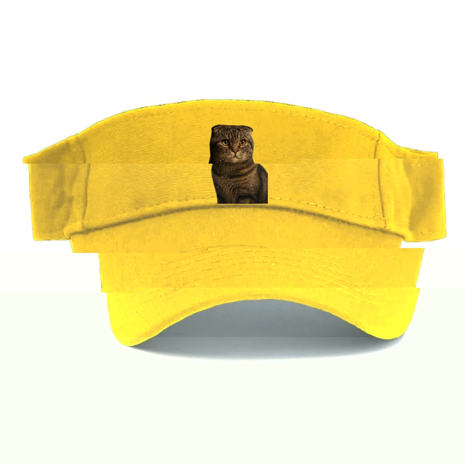 scottish-fold-curious-charm Hat