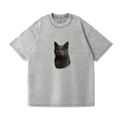 chartreux-gentle-grace Hat