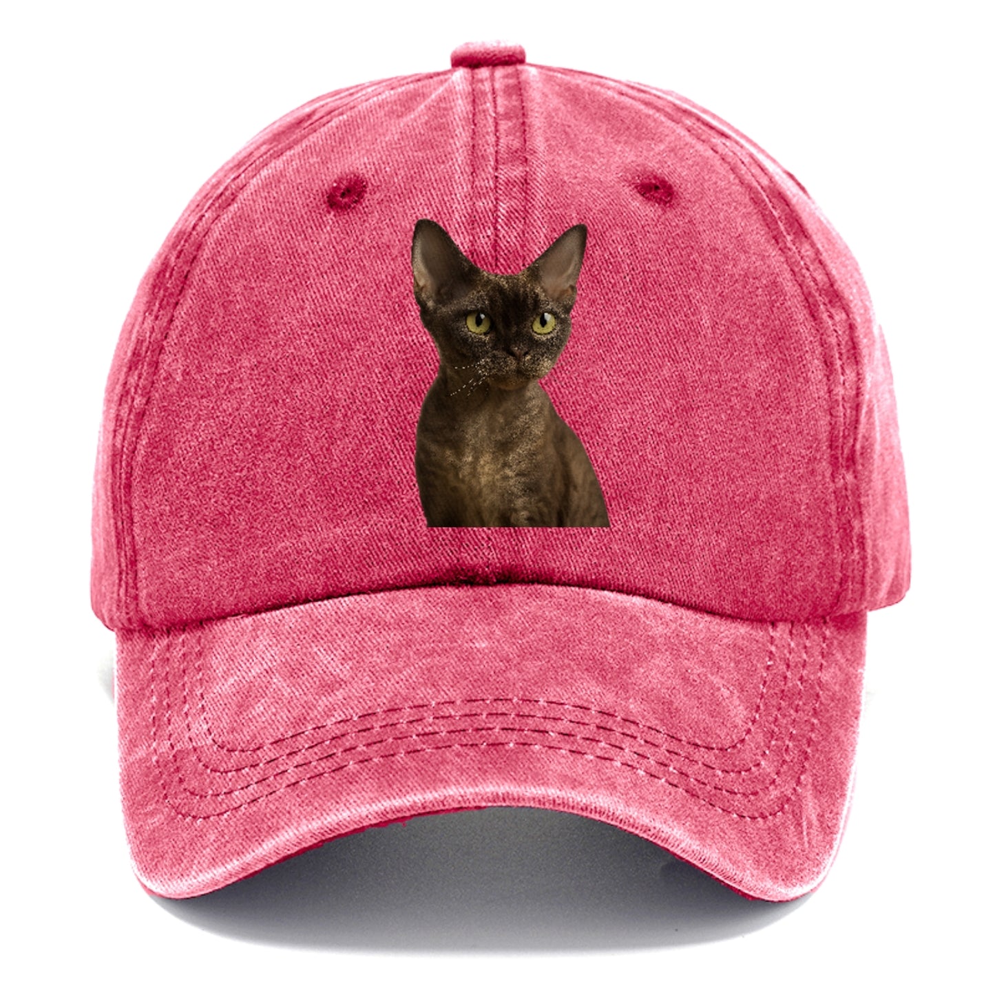 devon-rex-the-unique-charm Hat