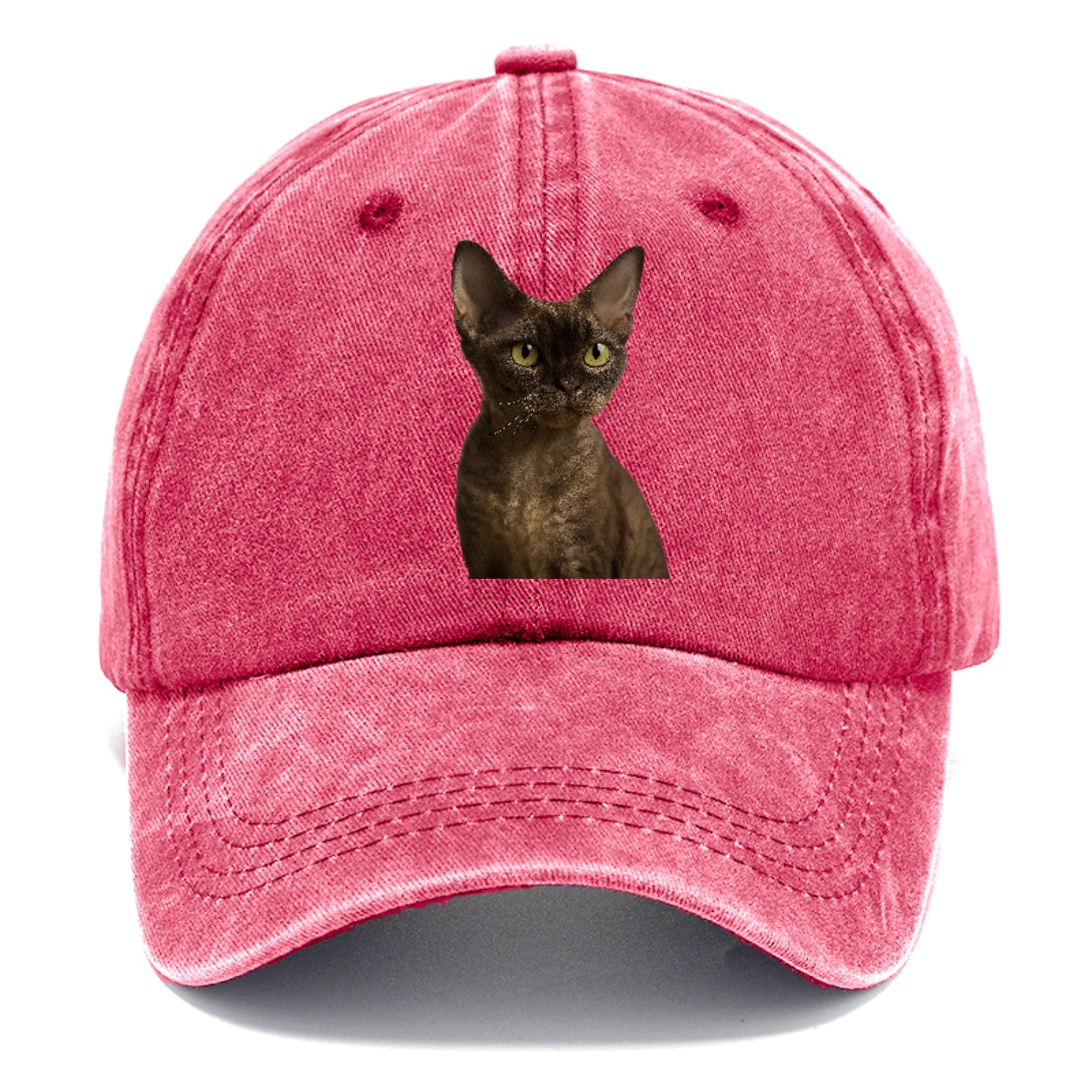 devon-rex-the-unique-charm Hat