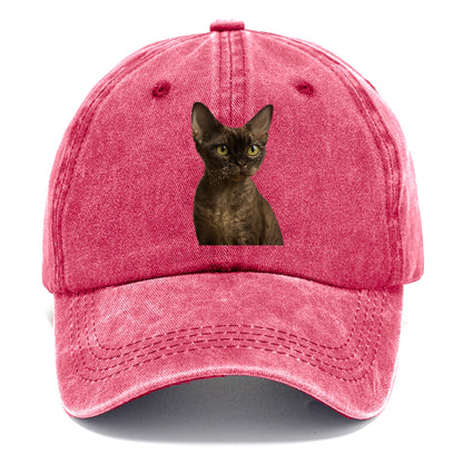 devon-rex-the-unique-charm Hat