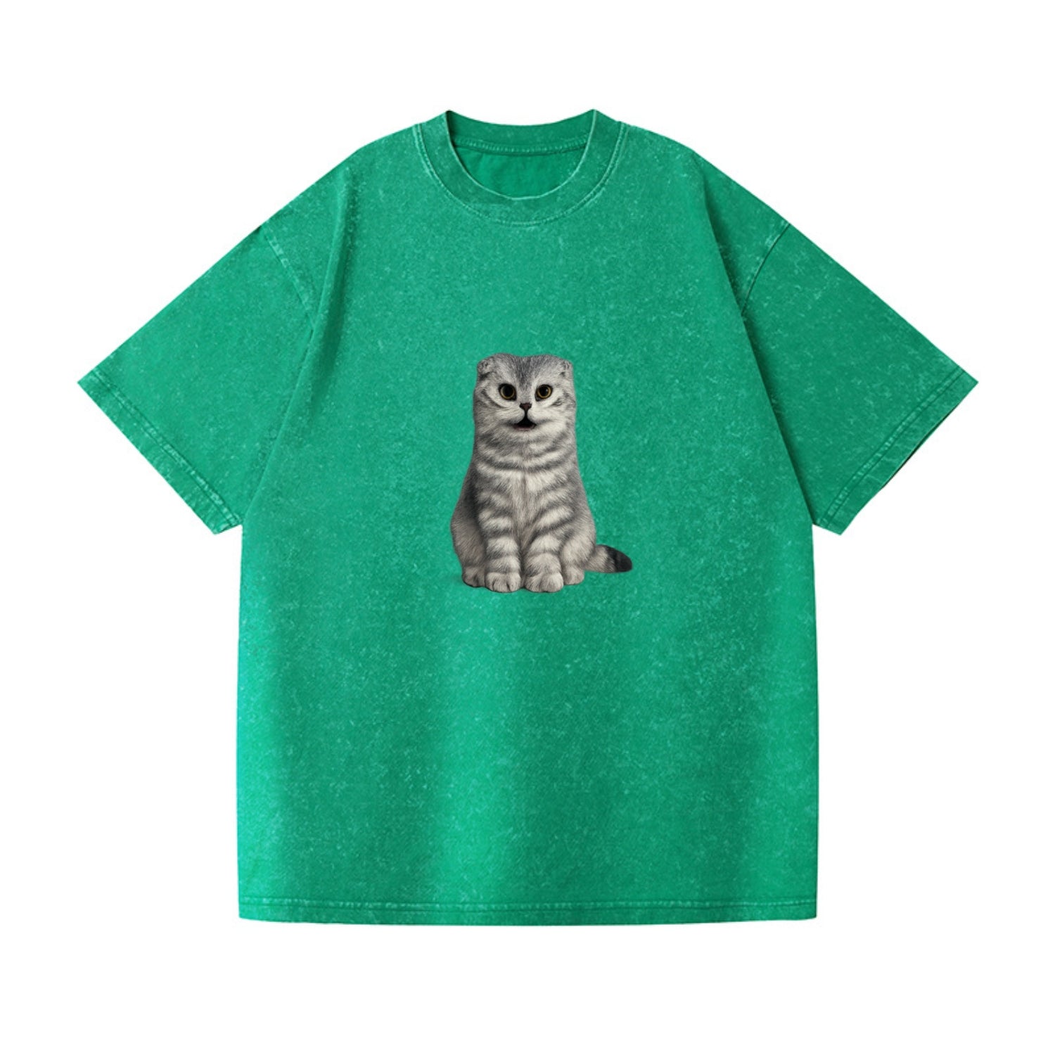 surprised striped cat whimsical portrait Hat