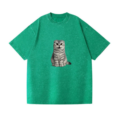 surprised striped cat whimsical portrait Hat