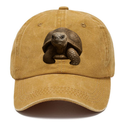tortoise portrait design Hat