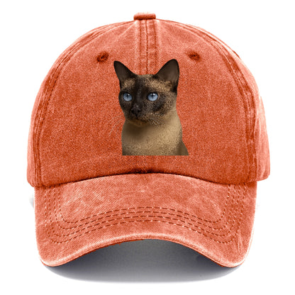 tonkinese-elegant-feline-charm Hat