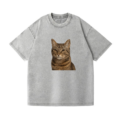 content-cat-peaceful-purr Hat