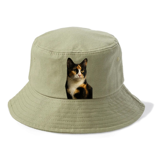calico-mix-vibrant-spirit Hat