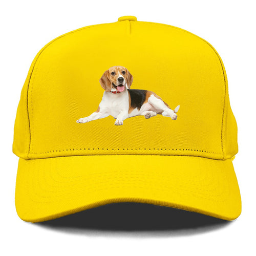 Beagle Cap
