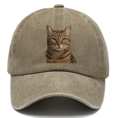 content-cat-curious-charm Hat