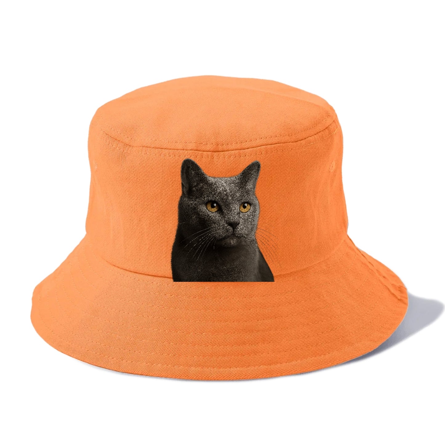 chartreux-quiet-grace Hat