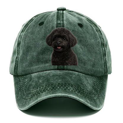 black maltipoo portrait design Hat