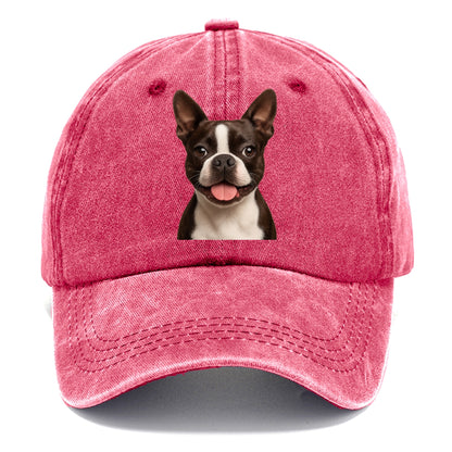 boston terrier: dapper & devoted companion Hat