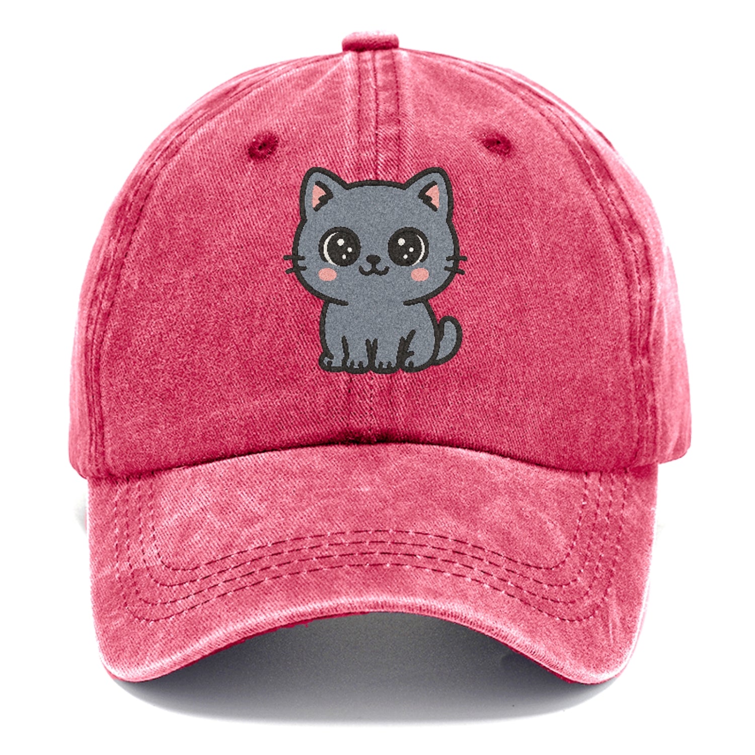 british-shorthair-calm-demeanor Hat