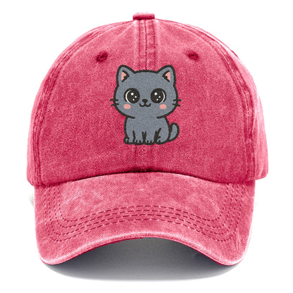 british-shorthair-calm-demeanor Hat