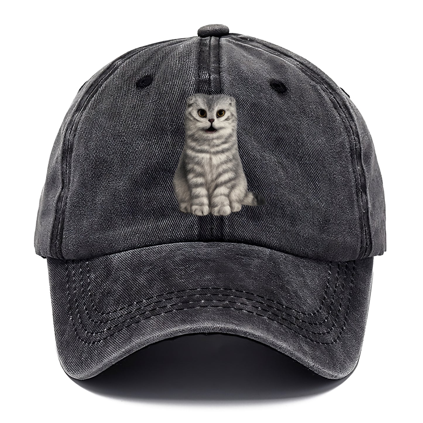 surprised striped cat whimsical portrait Hat