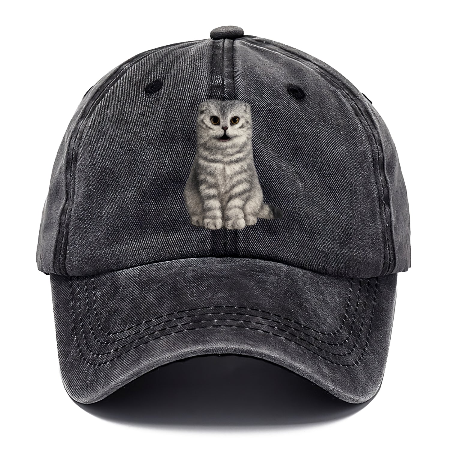 surprised striped cat whimsical portrait Hat