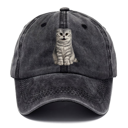 surprised striped cat whimsical portrait Hat