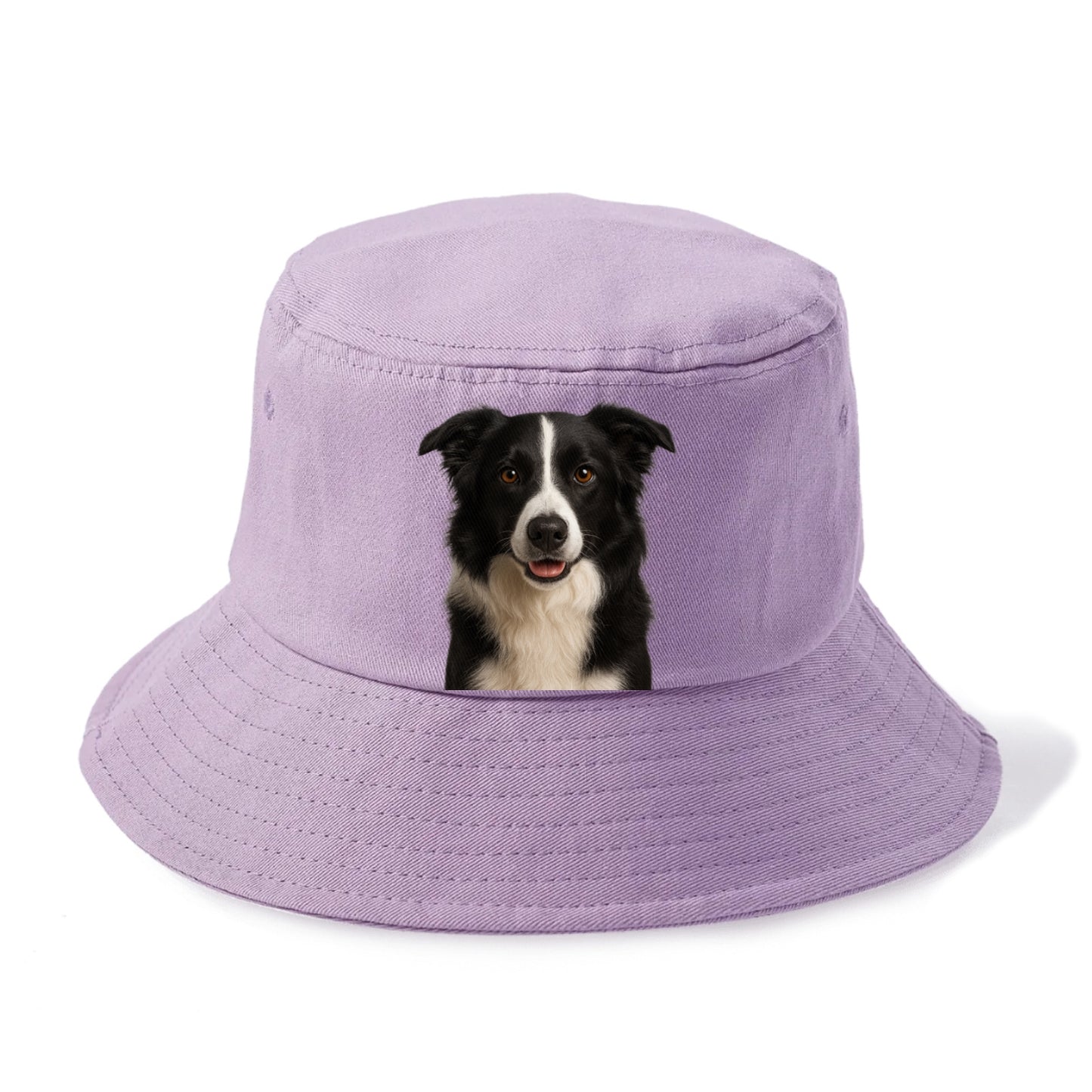 border collie intelligent companion Hat